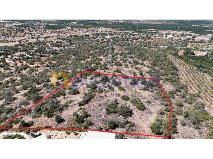 Image No.3-Ferme de 2 chambres à vendre à Silves