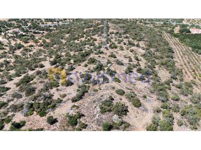 Image No.5-Ferme de 2 chambres à vendre à Silves