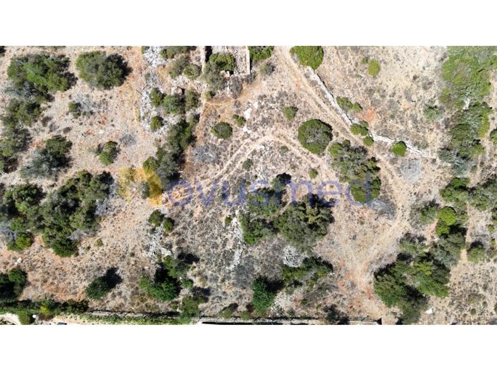 Image No.6-Ferme de 2 chambres à vendre à Silves