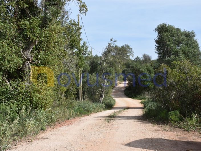 Image No.8-Ferme de 2 chambres à vendre à Silves