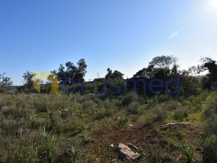 Image No.9-Ferme de 2 chambres à vendre à Silves