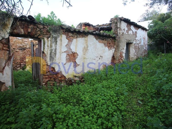 Image No.10-1 Bed Farmhouse for sale