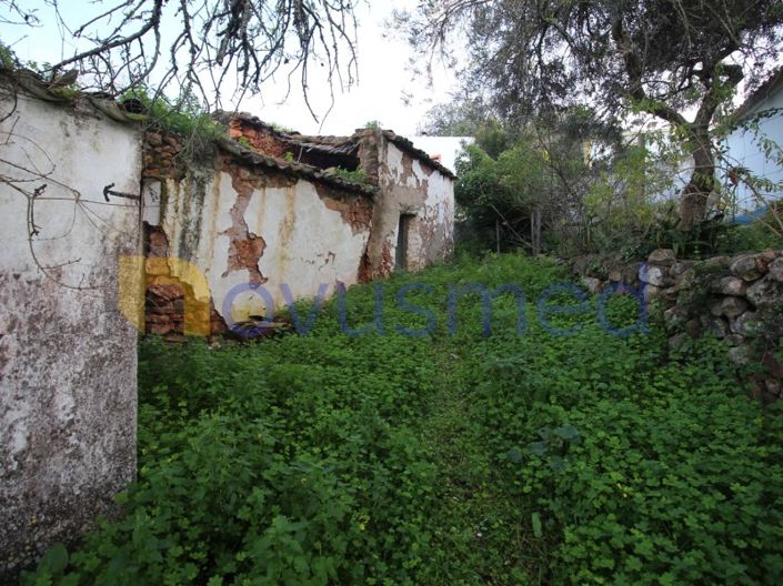 Image No.12-Ferme de 1 chambre à vendre à Loule
