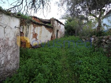 id0b252400-0000-0500-0000-000010e020a8