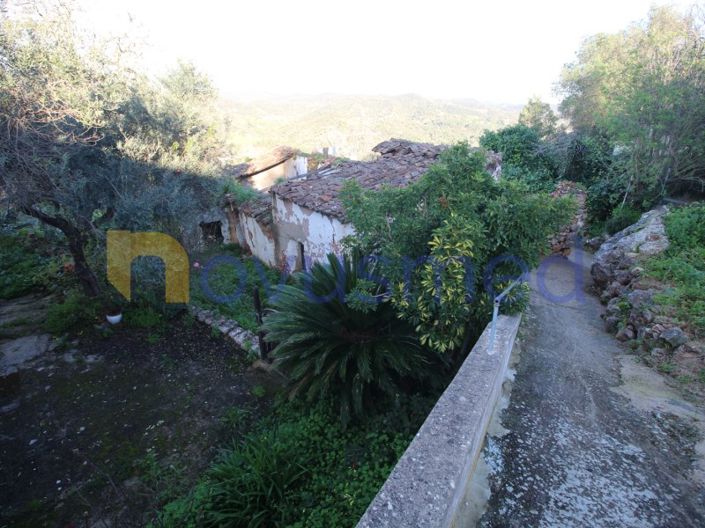 Image No.2-Ferme de 1 chambre à vendre à Loule