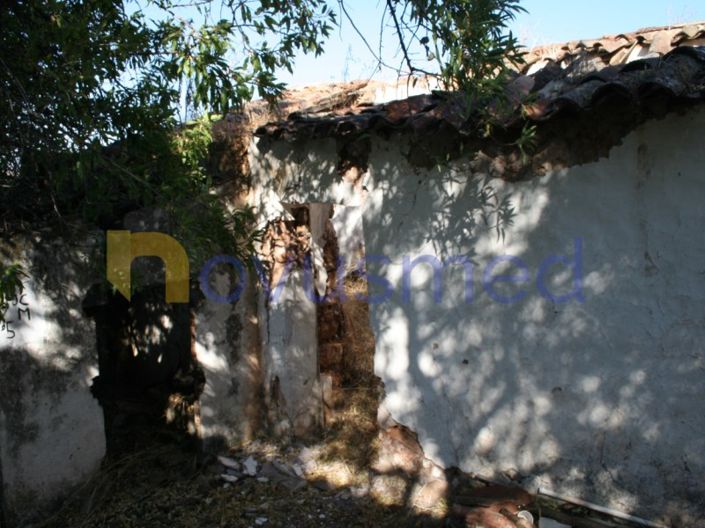 Image No.23-Ferme de 1 chambre à vendre à Loule