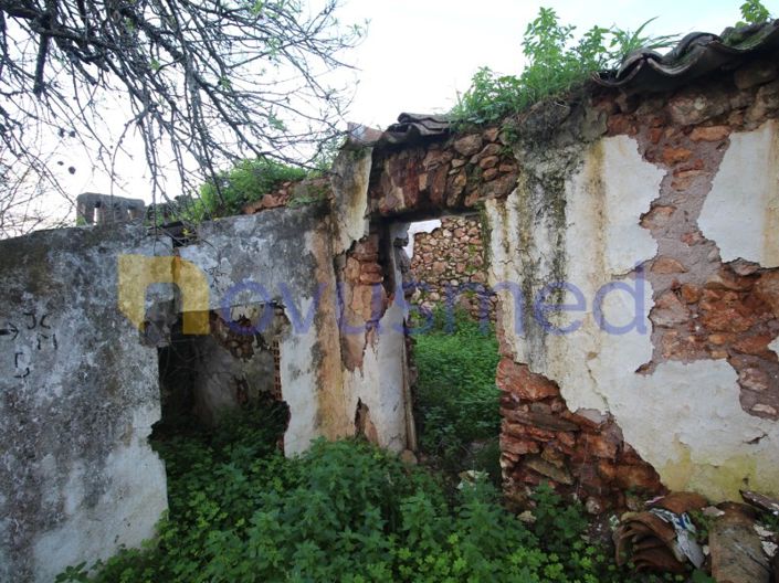 Image No.5-1 Bed Farmhouse for sale