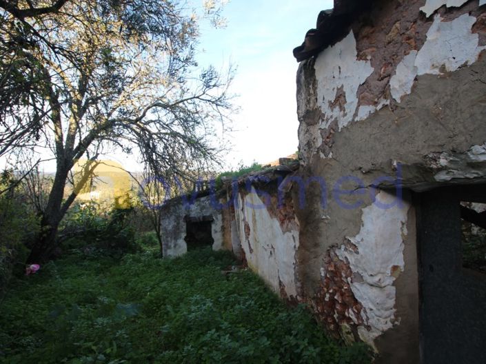 Image No.5-Ferme de 1 chambre à vendre à Loule