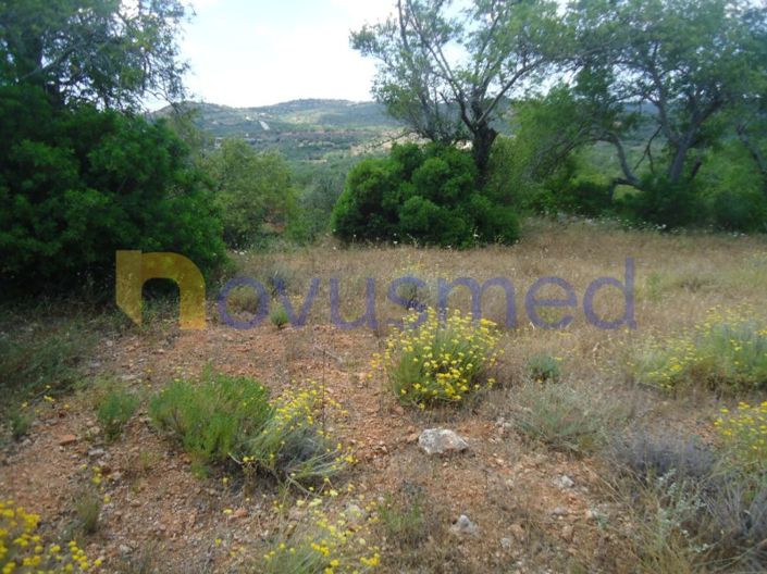 Image No.11-Plot for sale