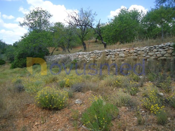 Image No.12-Plot for sale