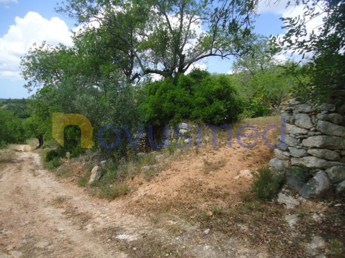 Image No.13-Plot for sale