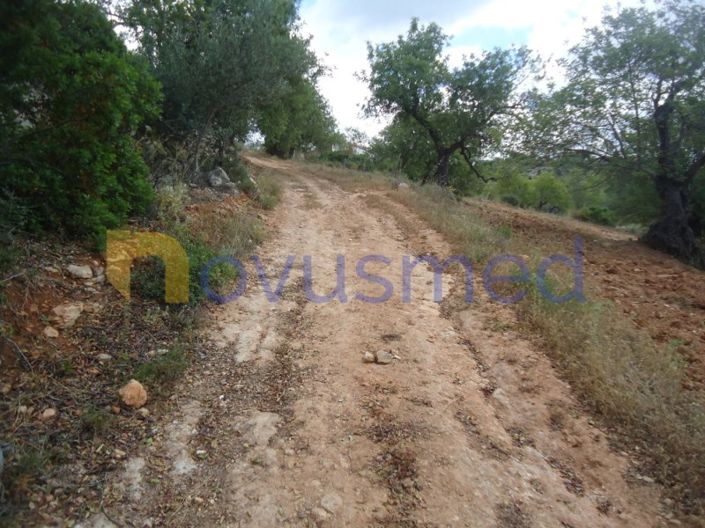 Image No.14-Plot for sale