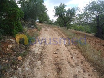 idd5515600-0000-0500-0000-000002bb8a77