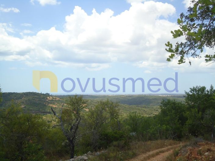 Image No.2-Plot for sale