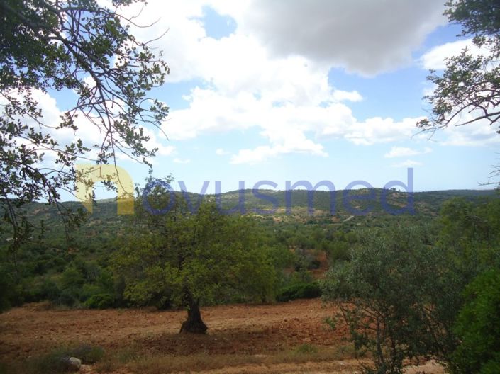 Image No.3-Plot for sale