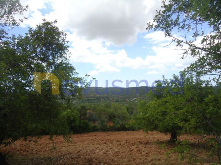 Image No.4-Plot for sale