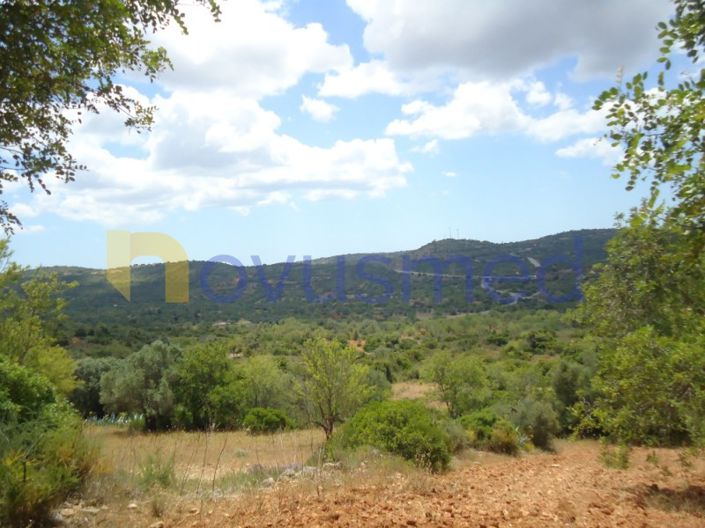 Image No.5-Plot for sale