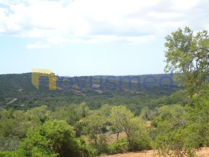 Image No.6-Plot for sale