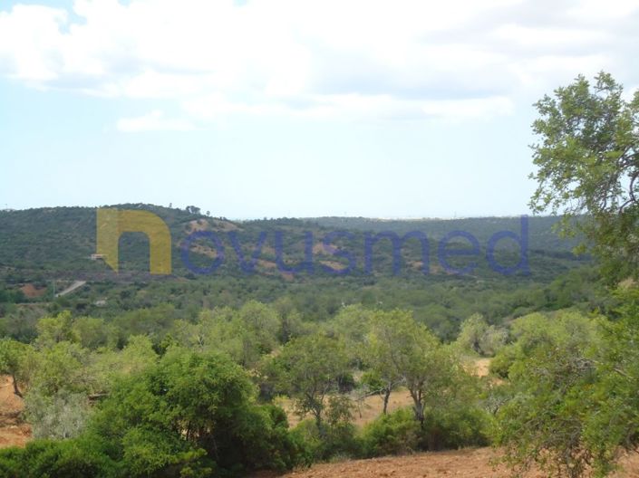 Image No.7-Plot for sale