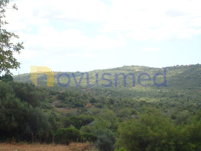 Image No.8-Plot for sale