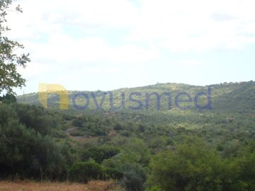 idd5515600-0000-0500-0000-000002bb8a71