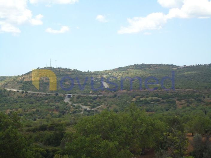 Image No.9-Plot for sale