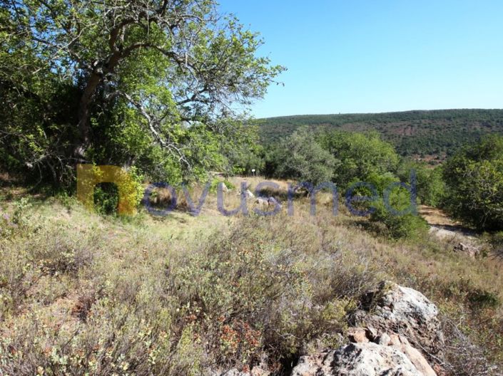 Image No.10-Terrain à vendre à Silves