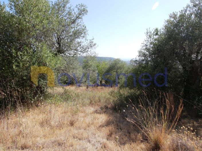 Image No.11-Plot for sale