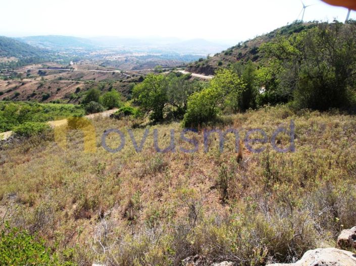 Image No.13-Plot for sale