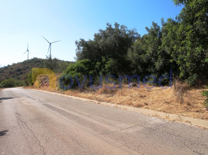 Image No.2-Terrain à vendre à Silves