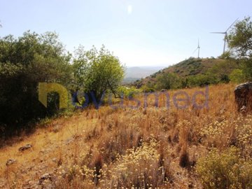 idca077500-0000-0500-0000-00000de3021b