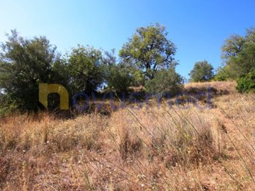 idca077500-0000-0500-0000-00000de30218