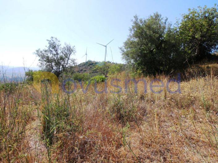 Image No.4-Terrain à vendre à Silves