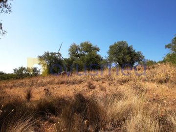 idca077500-0000-0500-0000-00000de3021a