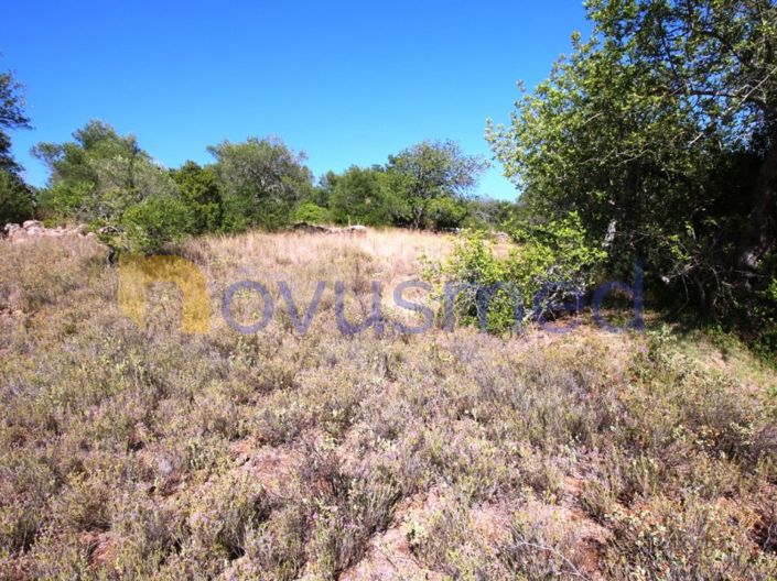 Image No.5-Plot for sale
