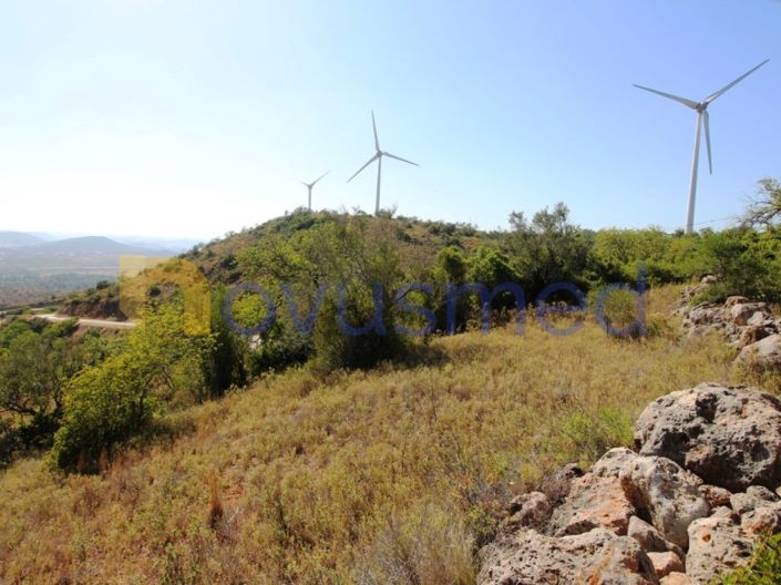Image No.7-Terrain à vendre à Silves