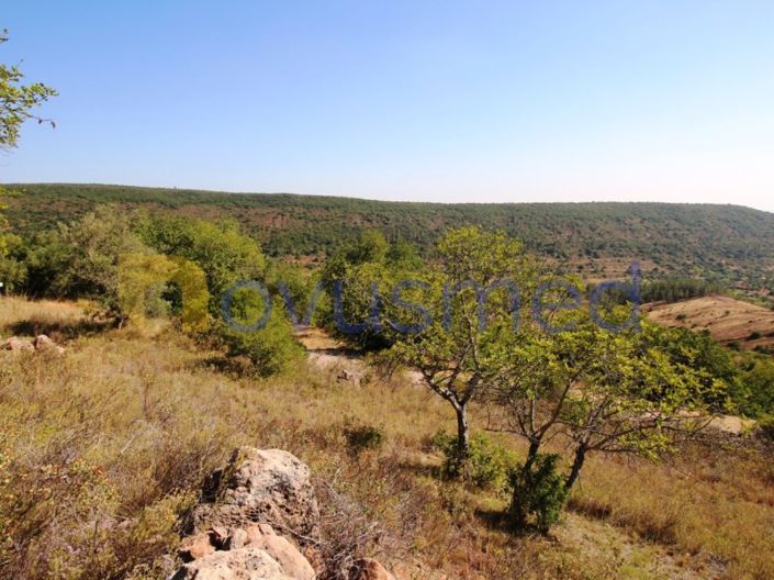 Image No.9-Terrain à vendre à Silves