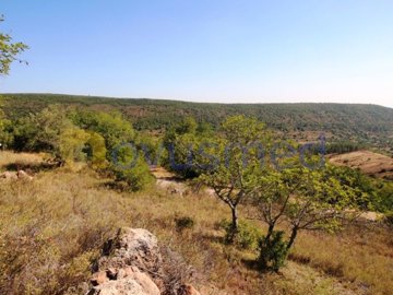 idca077500-0000-0500-0000-00000de3021f