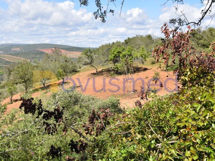Image No.13-Terrain à vendre à Albufeira