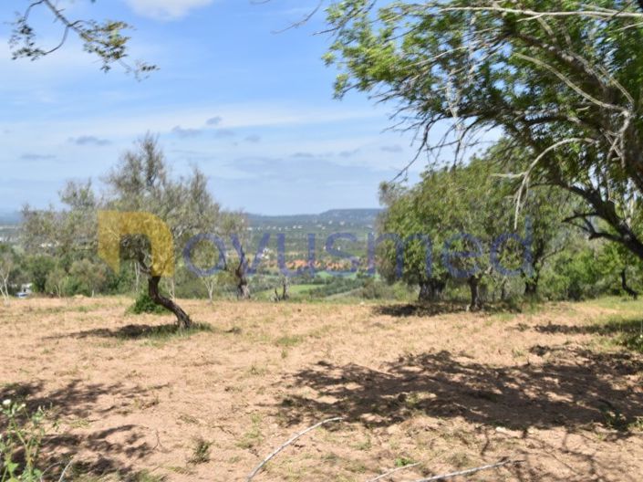 Image No.18-Terrain à vendre à Albufeira