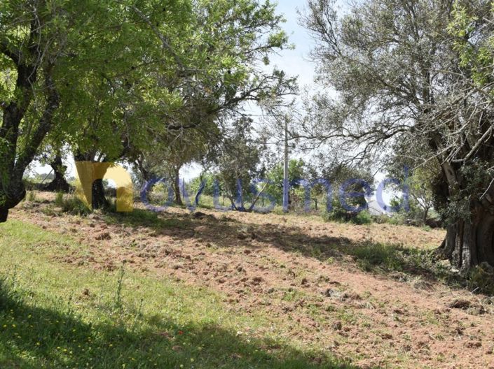 Image No.24-Terrain à vendre à Albufeira