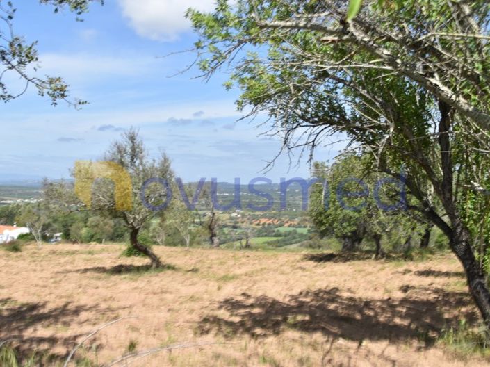 Image No.25-Terrain à vendre à Albufeira