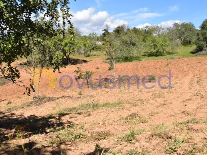 Image No.26-Terrain à vendre à Albufeira