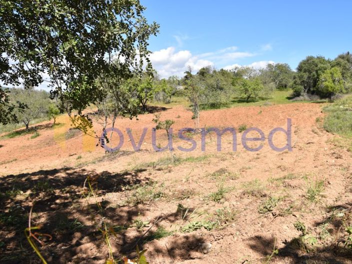 Image No.27-Terrain à vendre à Albufeira