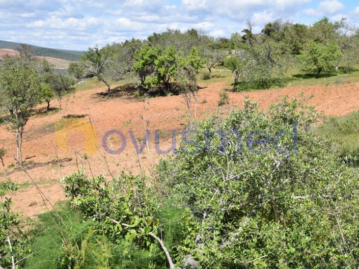 Image No.28-Terrain à vendre à Albufeira