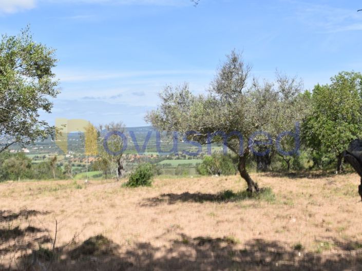 Image No.3-Terrain à vendre à Albufeira