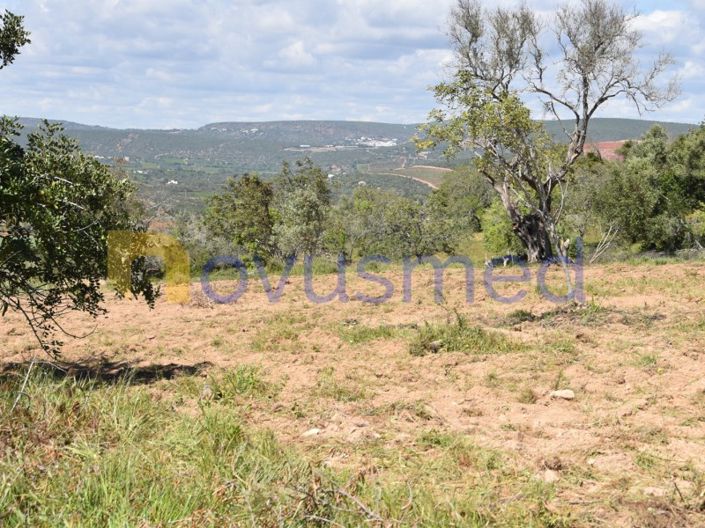 Image No.5-Terrain à vendre à Albufeira