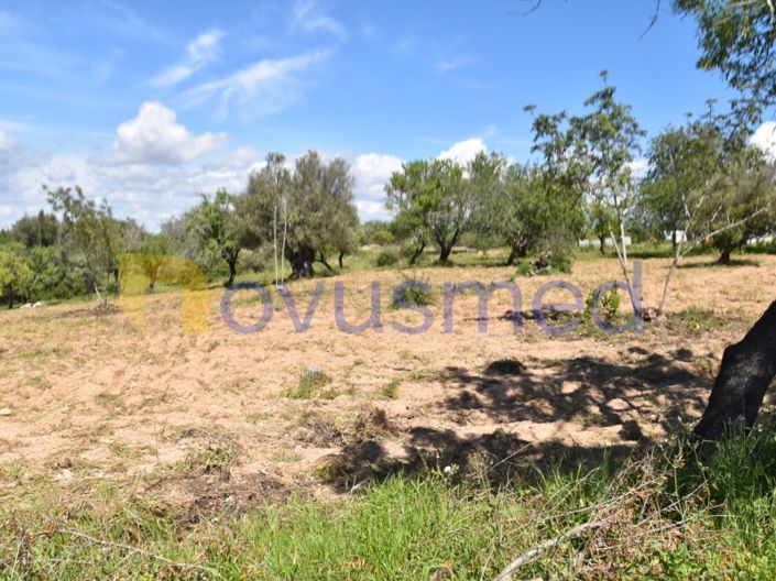 Image No.7-Terrain à vendre à Albufeira