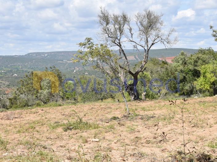 Image No.8-Terrain à vendre à Albufeira