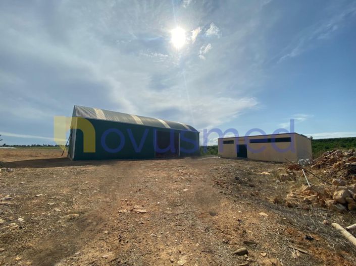 Image No.2-Ferme de 8 chambres à vendre à Olhão